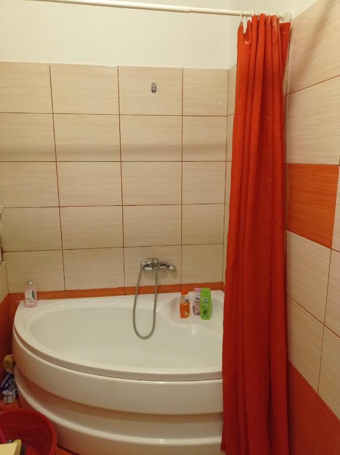 Bed and Breakfast Apartament Флорешты Экстерьер фото